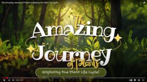 The Amazing Journey of Plants! Exploring the Plant Life Cycle