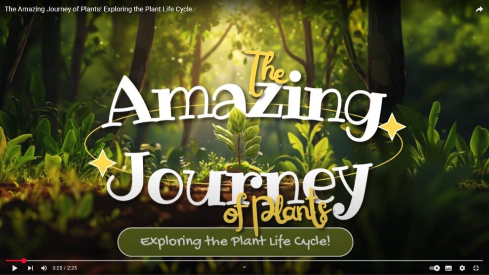 The Amazing Journey of Plants! Exploring the Plant Life Cycle