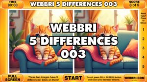 webbri 5 differences 003